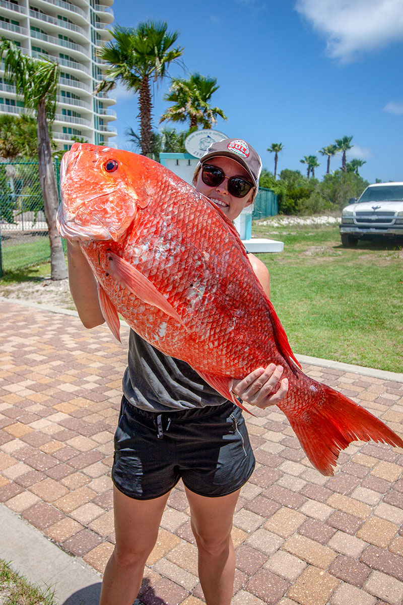 Caribe Marina Red Snapper